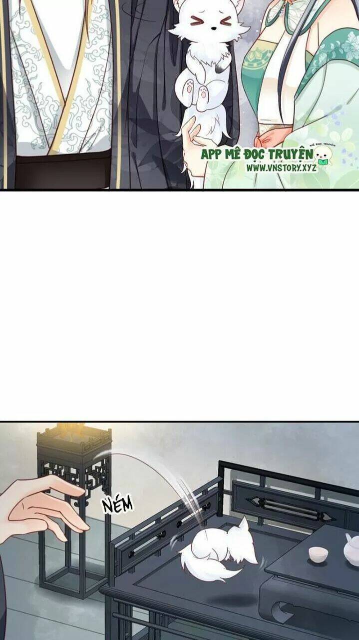 kiều nữ độc phi chapter 212 8