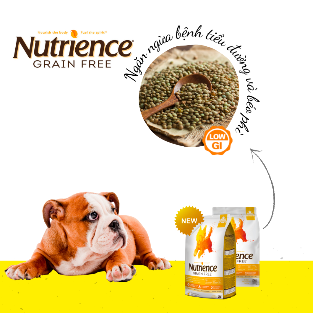 Thức Ăn Hạt Cho Chó Nutrience Grain Free Vị Gà Tây, Gà Canada Và Cá Trích