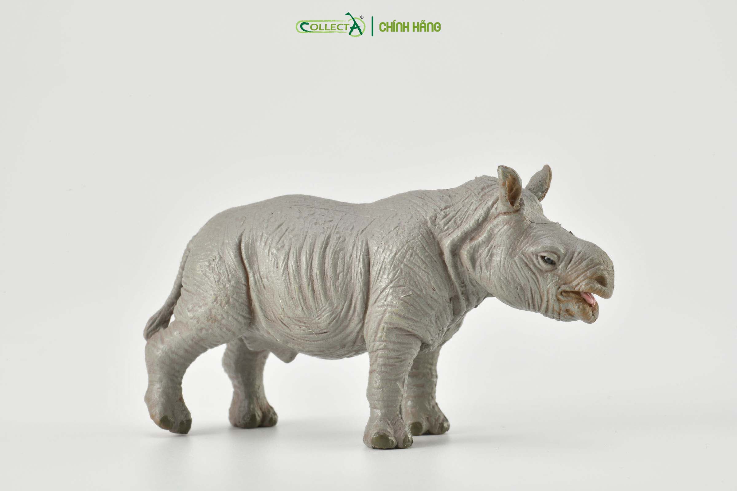 Mô hình thu nhỏ: Tê Giác Trắng con - White Rhinoceros Calf, hiệu: CollectA, mã HS 9651041[88089] -  Chất liệu an toàn cho trẻ - Hàng chính hãng