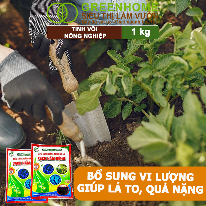 Tinh Vôi Nông Nghiệp Greenhome, Bao 1kg, Cải Tạo Đất, Sạch Nấm Bệnh, Bổ Sung Vi Lượng Giúp Lá To, Quả Nặng