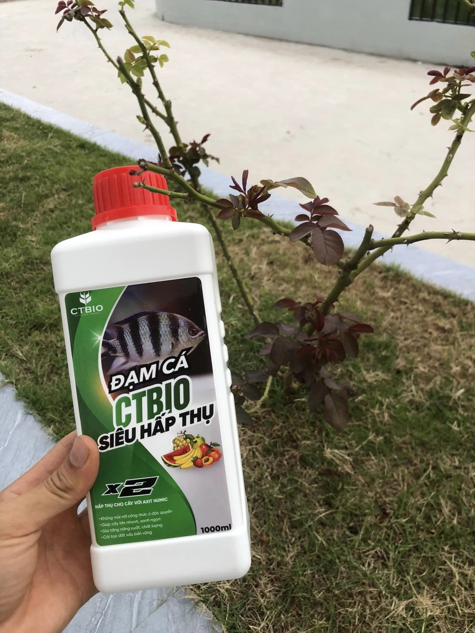 Đạm Cá Hữu Cơ CTBIO (5 Lít) X2 lần hấp thụ cho cây với Axit Humic