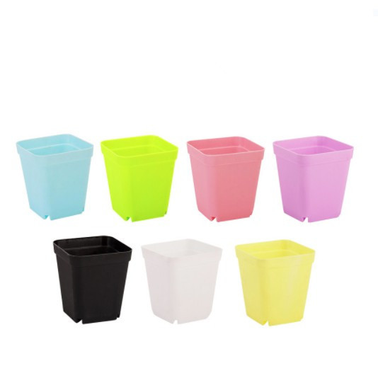 Chậu hoa đế vuông mini mix nhiều màu