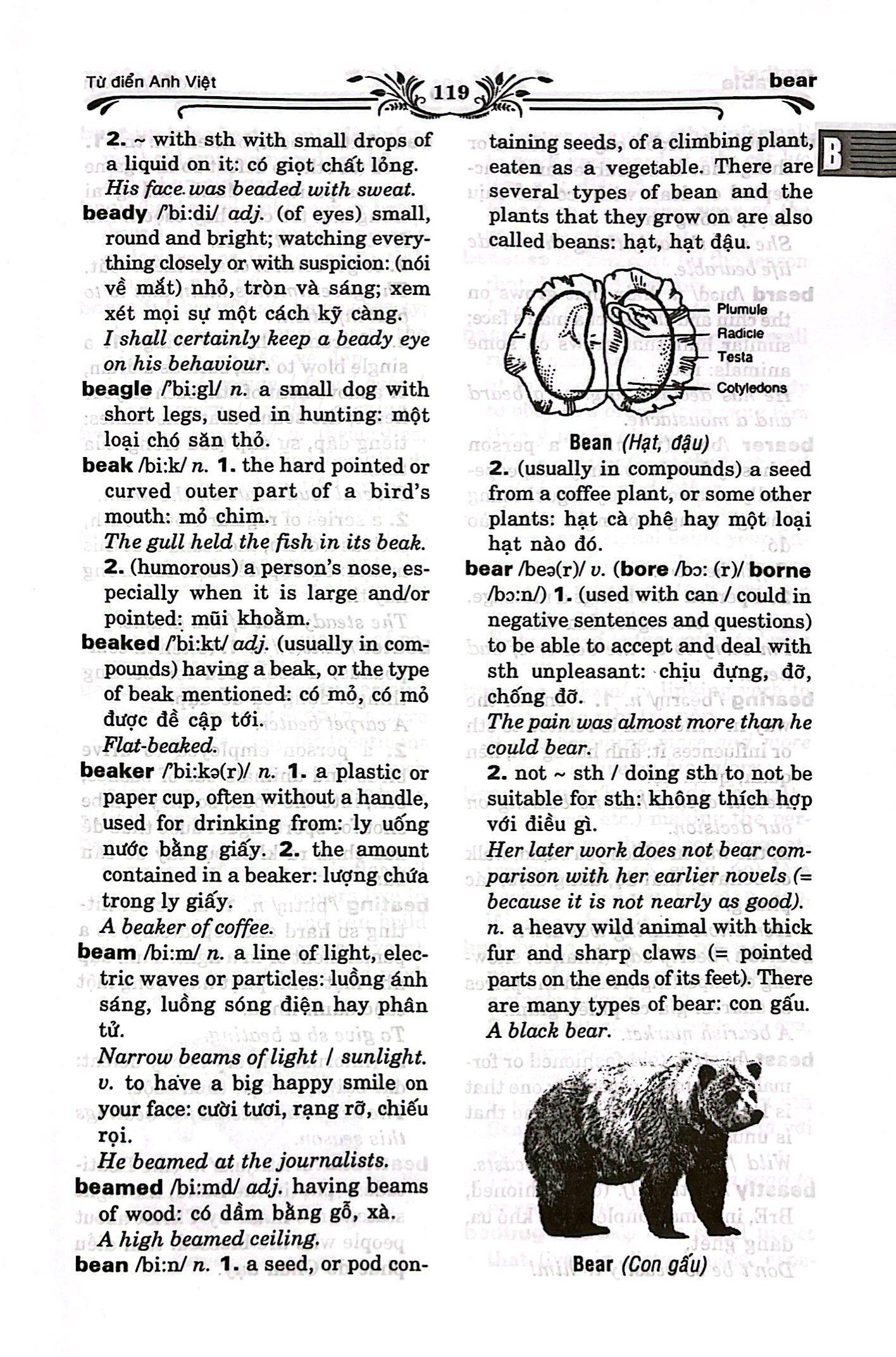 Sách - Từ Điển Anh - Việt (Tái Bản 2014) - ảnh 7