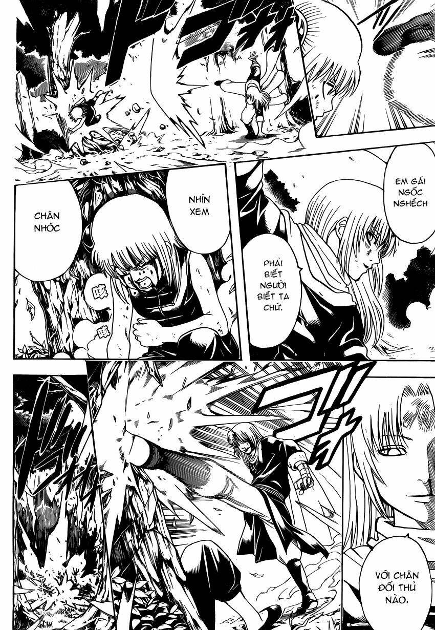 gintama - linh hồn bạc chapter 521 7