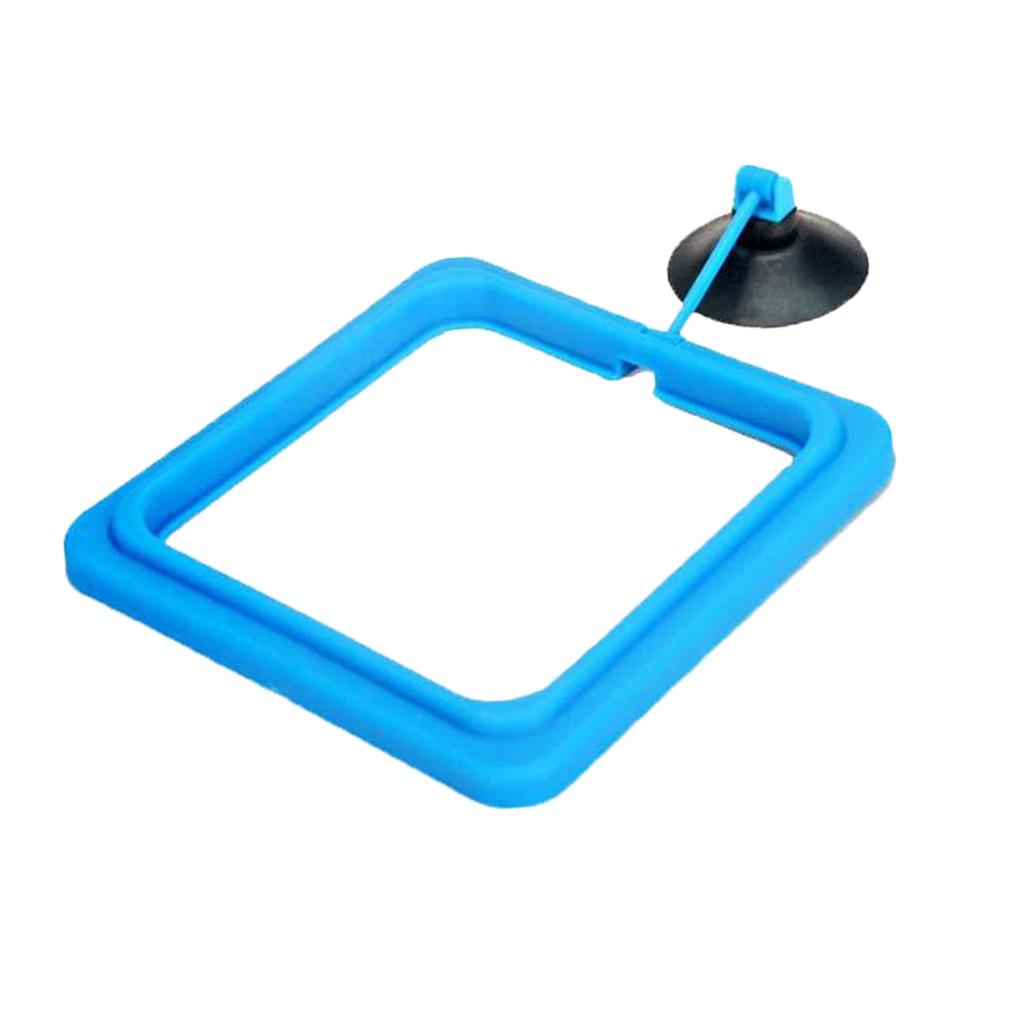 2PCS Fish Food Feeding  Aquarium Feeding Circle  Fish Tank Feeder