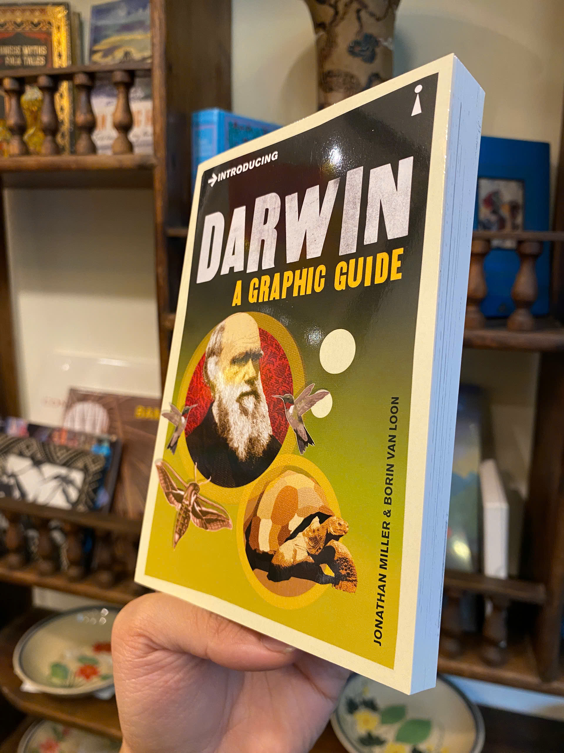 Sách - Introducing Darwin: A Graphic Guide by Jonathan Miller - Science/Nonfiction book in English