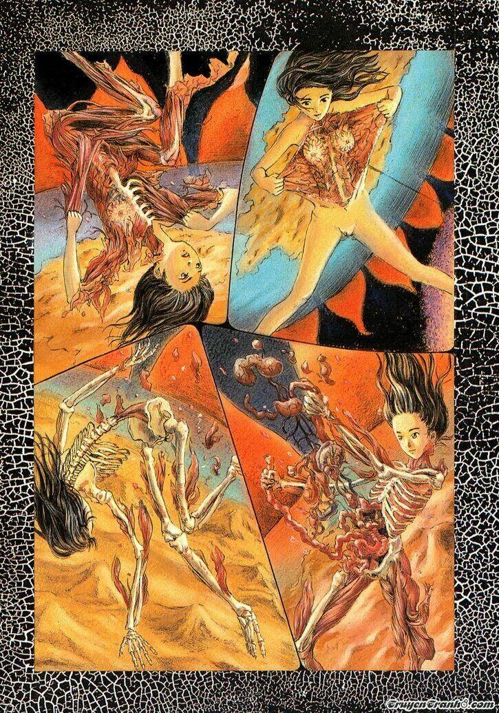 the garden chapter 1 19