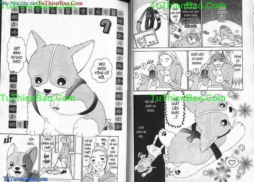chó con mo mo chapter 2 24