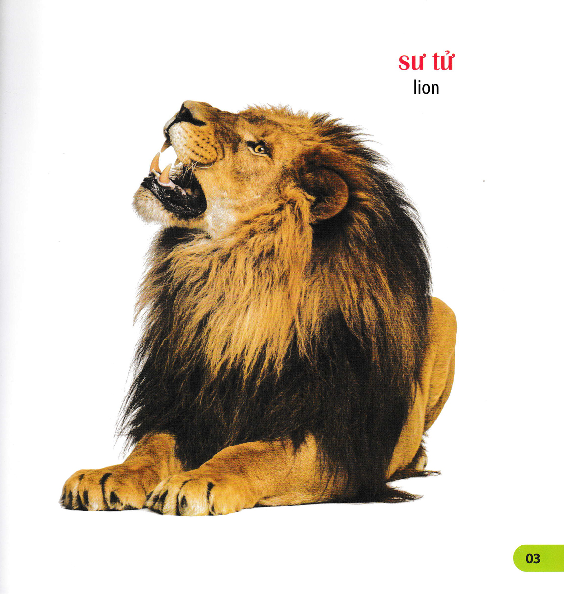 100 Từ Đầu Tiên Của Bé: Các Loài Vật - Bìa Mềm