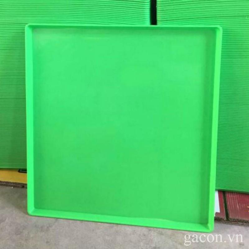 Khay Hứng Phân Chim, Gà 50x50 cm-- Khay Hứng Phân Bằng Nhựa
