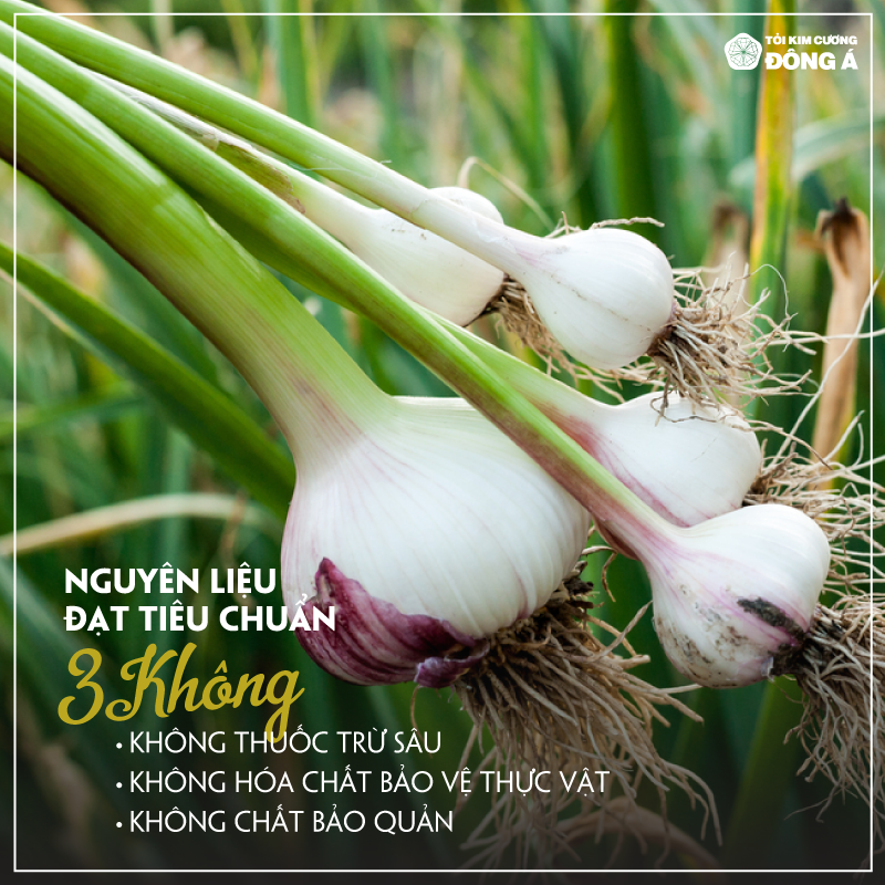 Tỏi Kim Cương Đông Á Hộp 100g - Tỏi đen cô đơn SX theo công nghệ chuyển giao từ Nhật Bản - Hỗ trợ ổn định huyết áp, tăng cường đề kháng