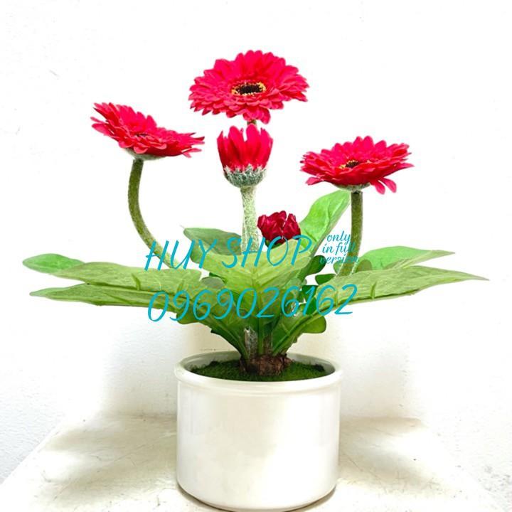 LỌ HOA CÚC ĐỒNG TIỀN VẢI CAO CẤP ĐỂ BÀN