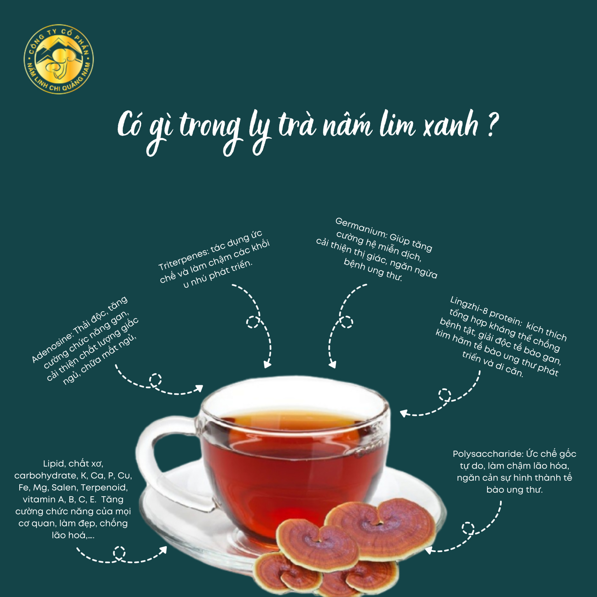 Trà Nấm Lim Xanh Linasa Quảng Nam