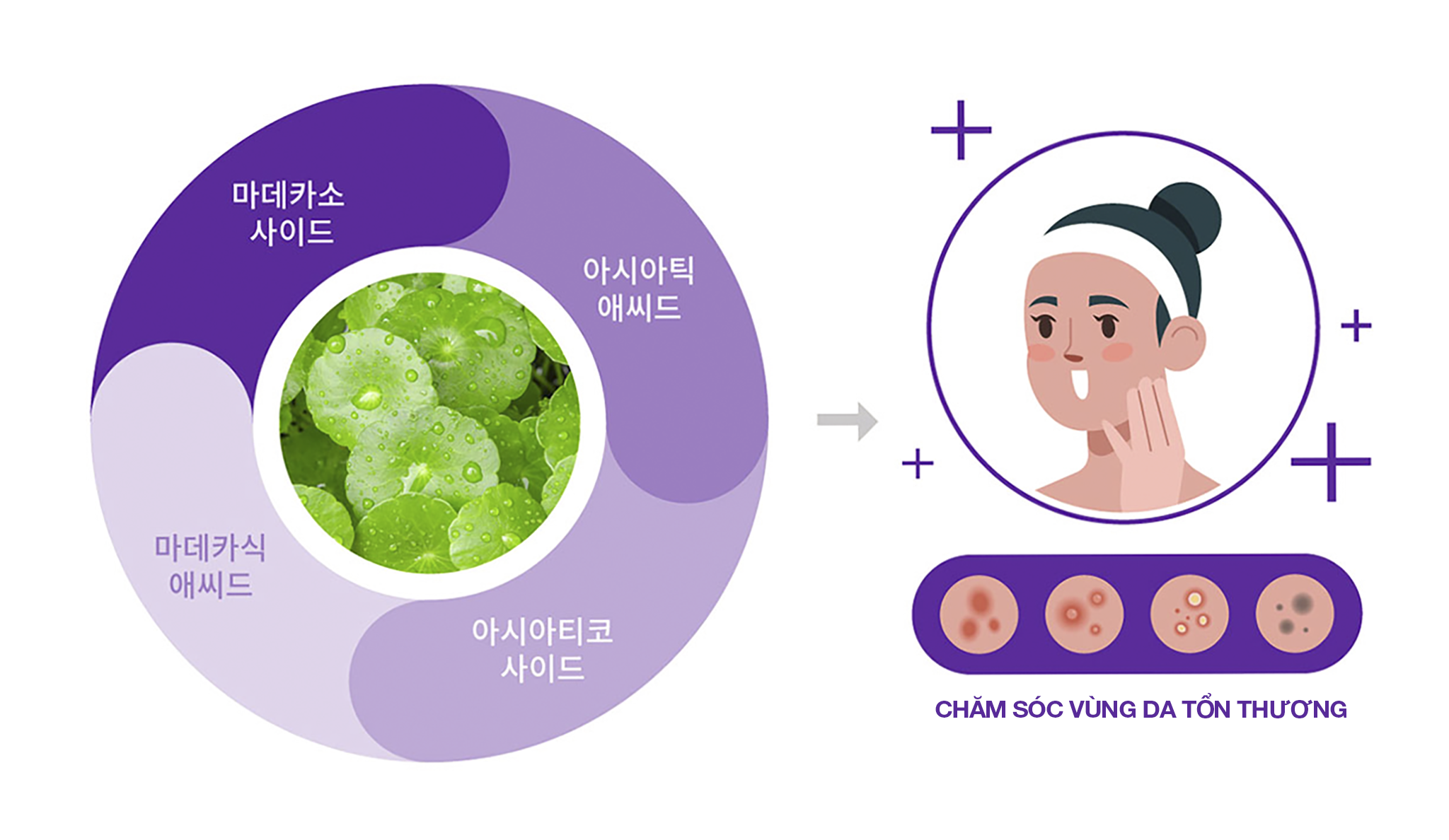 Mặt Nạ Éclat Du Teint Phục Hồi Làm Dịu Da PDRN CICA
