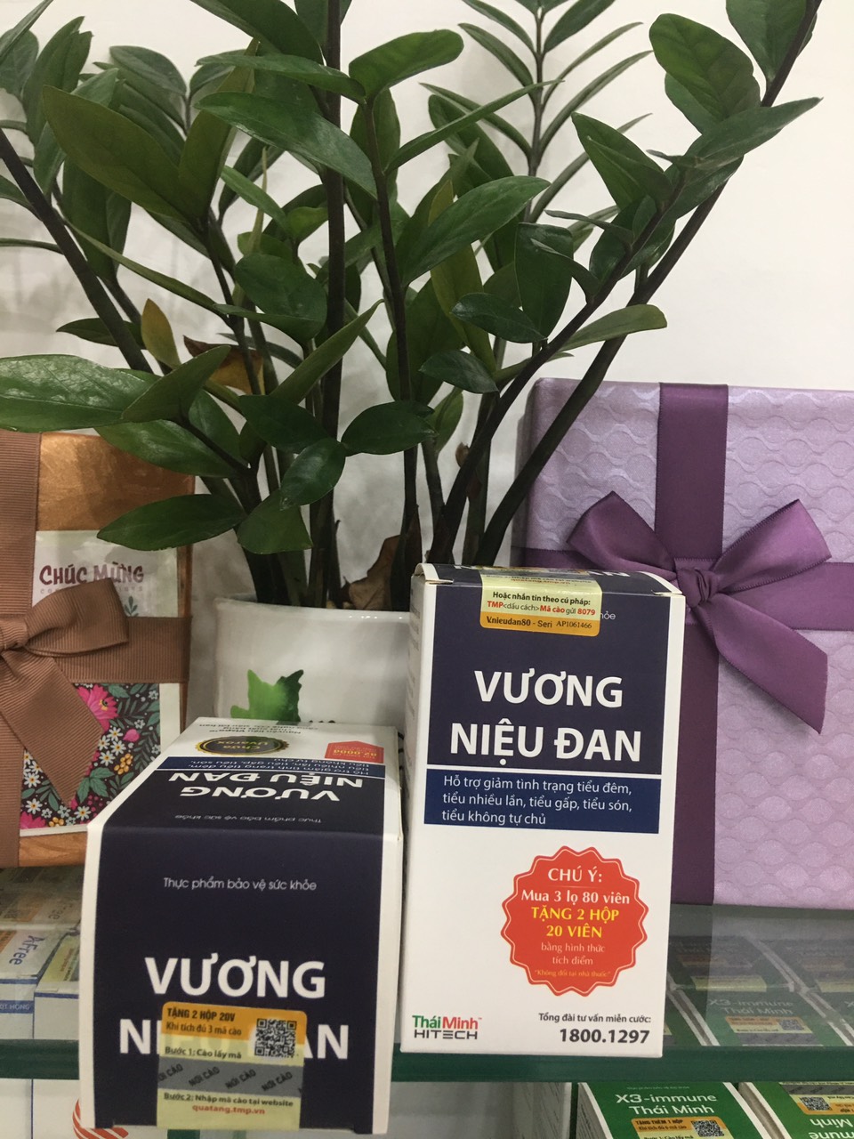 Vương Niệu Đan- giảm kích thích bàng quang, giảm tiểu đêm