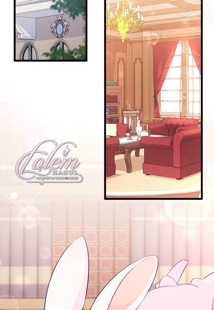 mối liên kết giữa báo đen và bé thỏ chapter 47 47