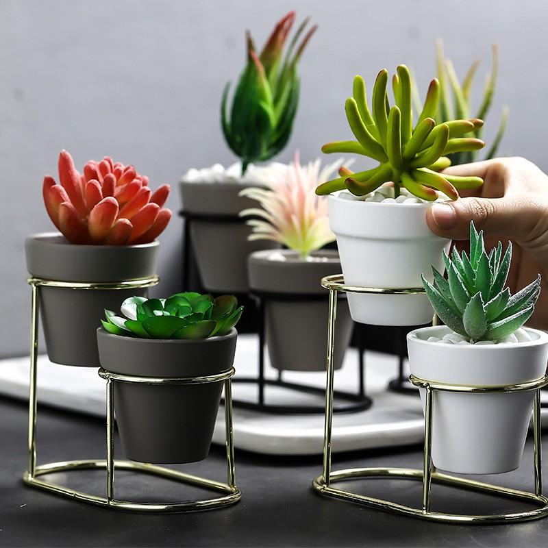 Chậu Cây Cảnh Bằng Sắt Trang Trí Nội Thất