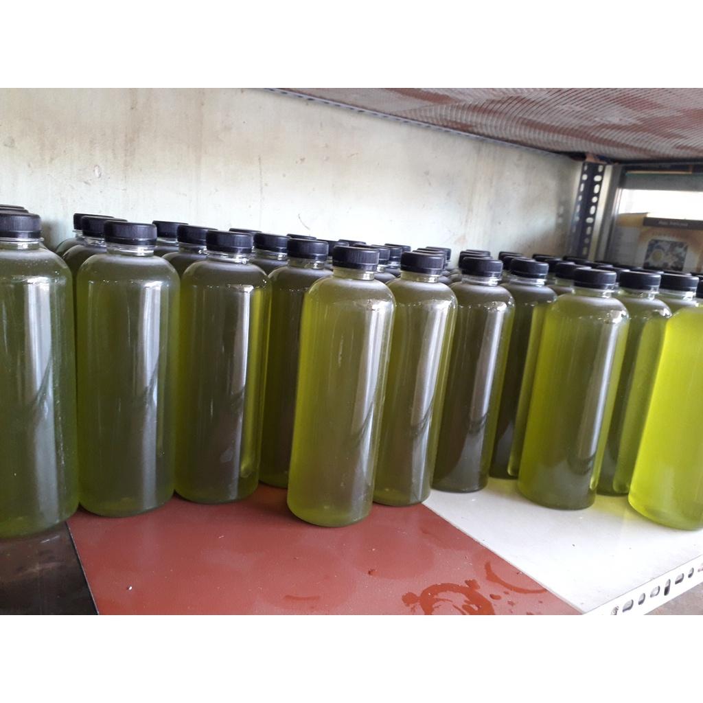 MẬT ONG HOA BẠC HÀ 100% NGUYÊN CHẤT . HSD 2 NĂM