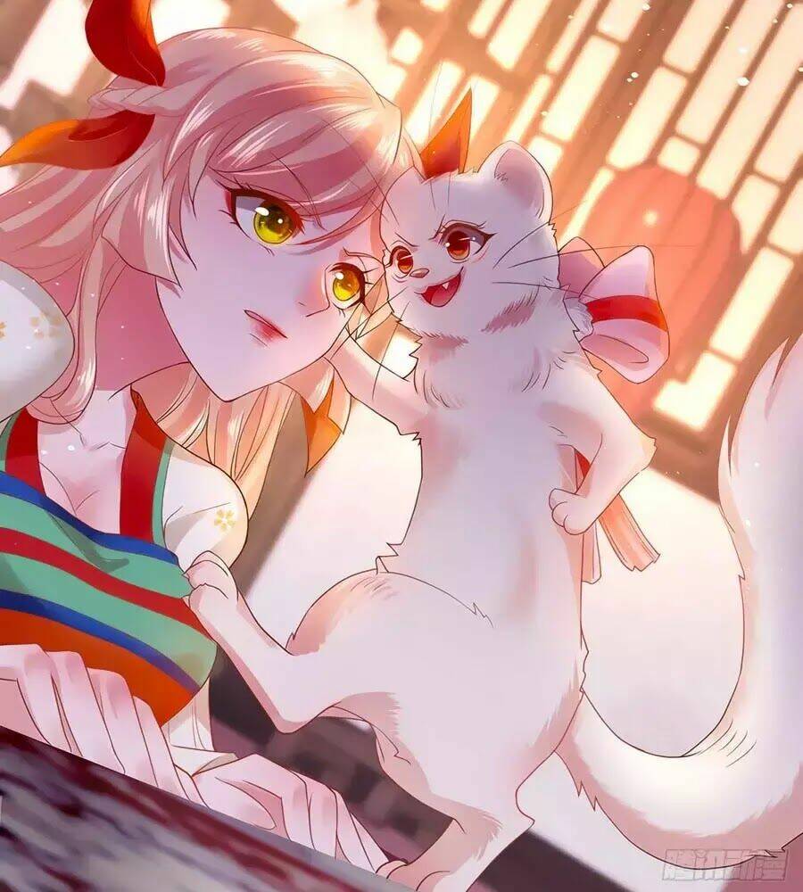 dưỡng thú vi phi chapter 1 101