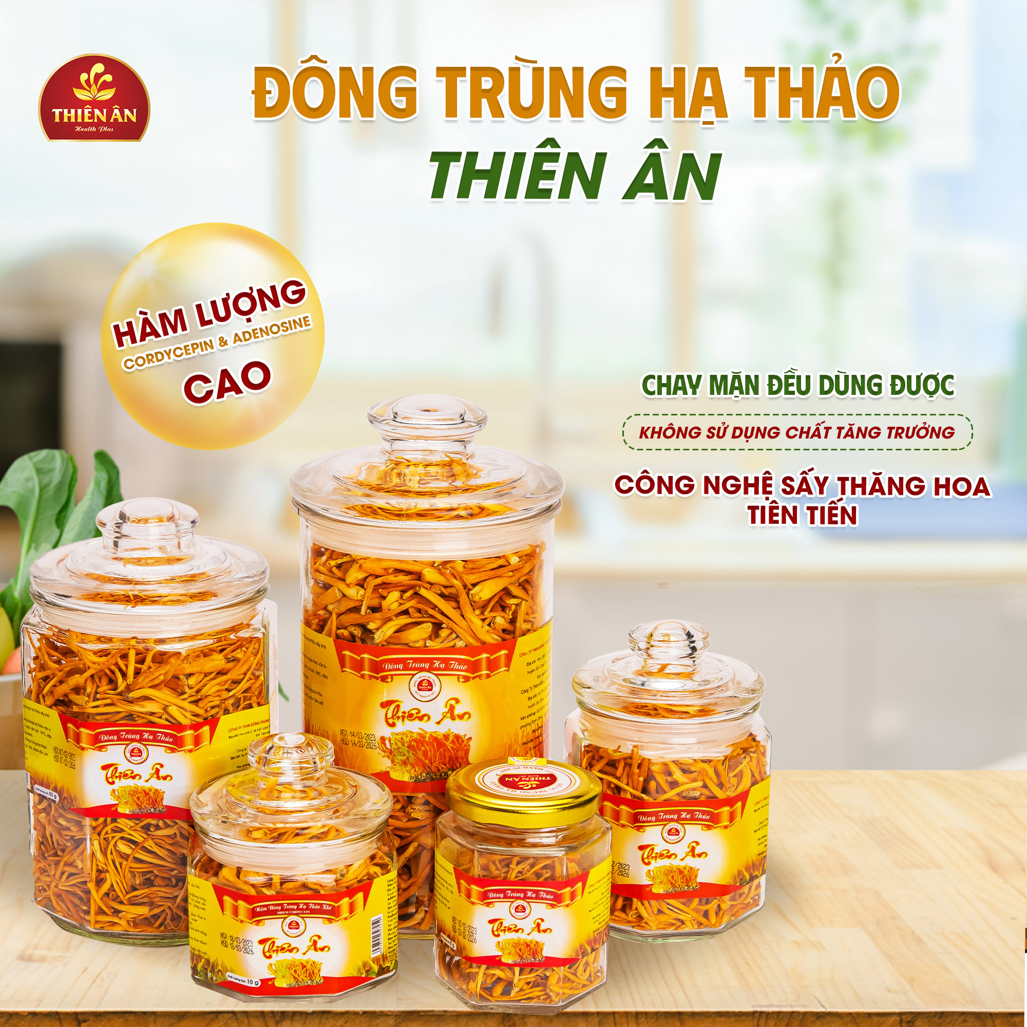 Đông Trùng Hạ Thảo Sấy Thăng Hoa Thiên Ân - Hũ 100g