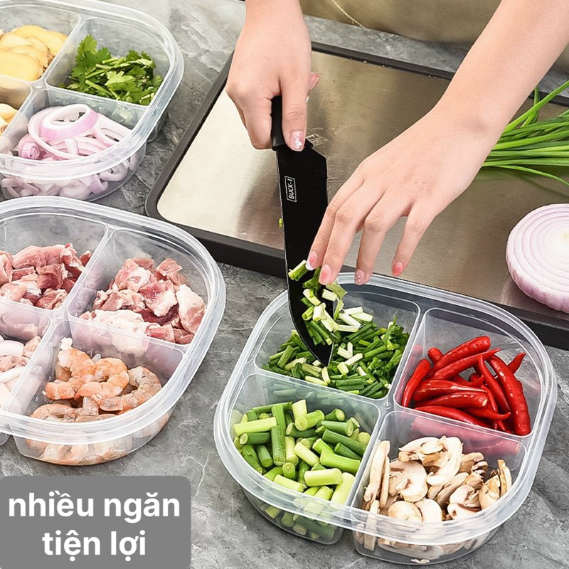 Hộp bảo quản thực phẩm , hộp đựng thức ăn trữ đông 4 ngăn lớn trong tủ lạnh - hộp đựng thực phẩm - giao màu ngẫu nhiên