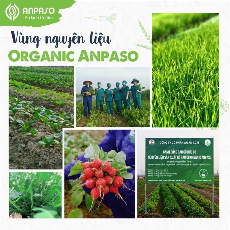 Mì rau mầm lúa mạch hữu cơ Anpaso, 100% bột mỳ nhập khẩu organic