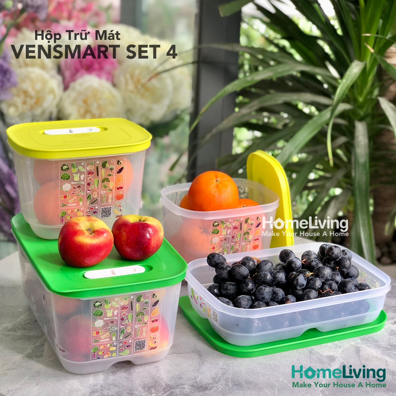 Bộ Trữ Mát Có Nút Hô Hấp Tupperware Vensmart Set 4