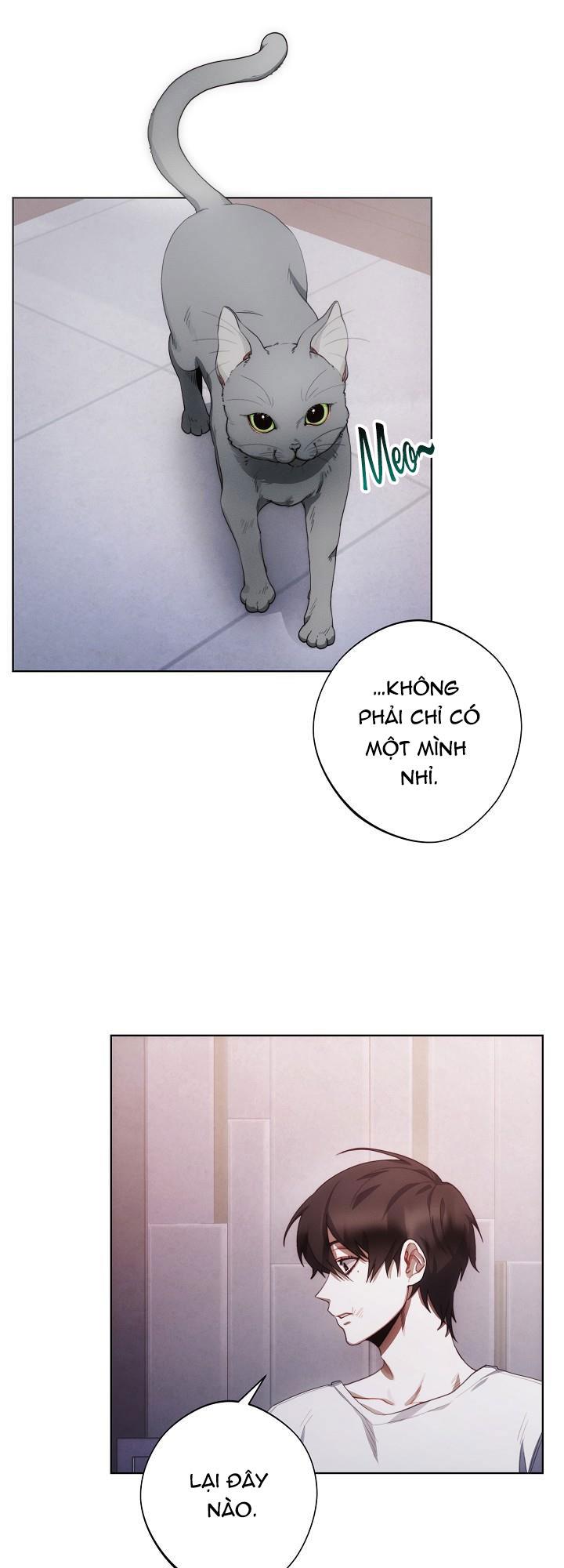 red mansion chapter 4 18