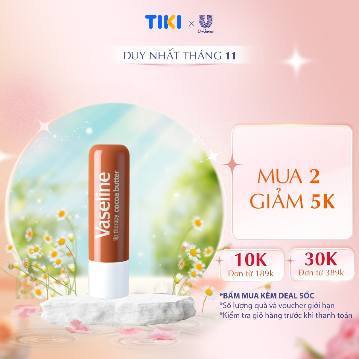 Son Dưỡng Môi Vaseline Stick 4.8g