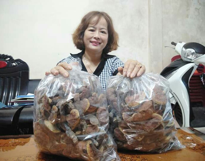 Nấm lim rừng 100% Tiên Phước Quảng Nam