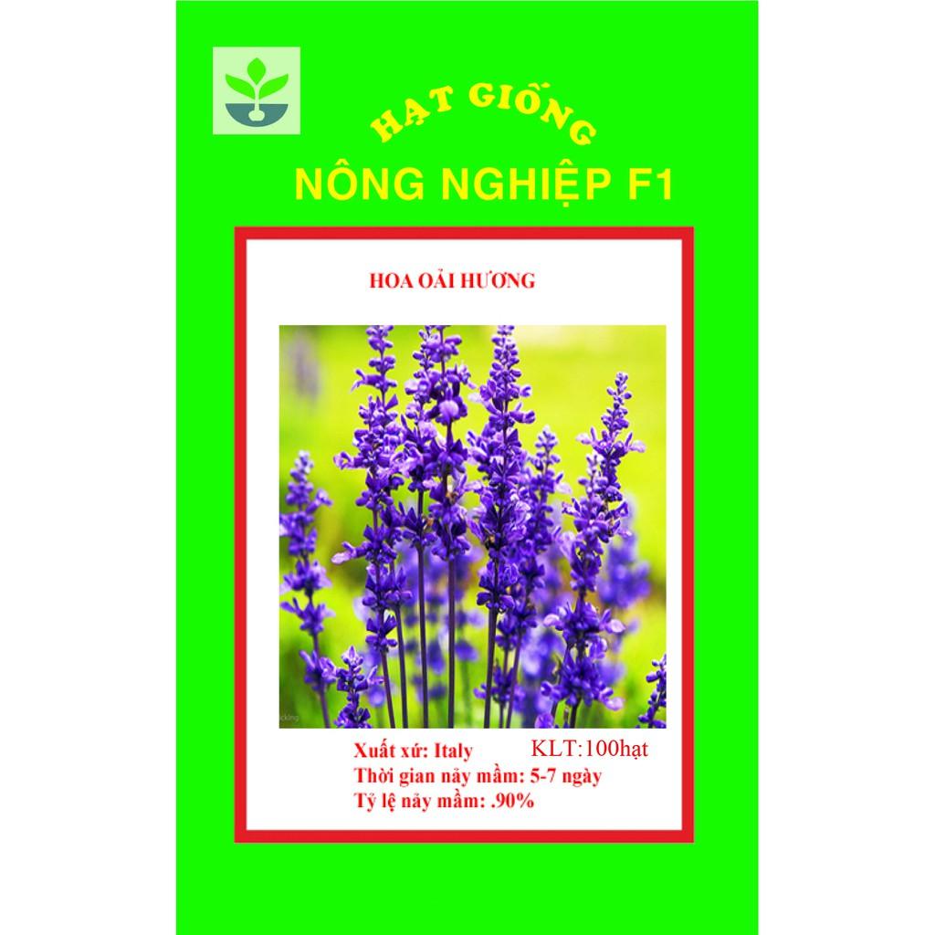 100 hạt giống hoa oải hương nhiều màu