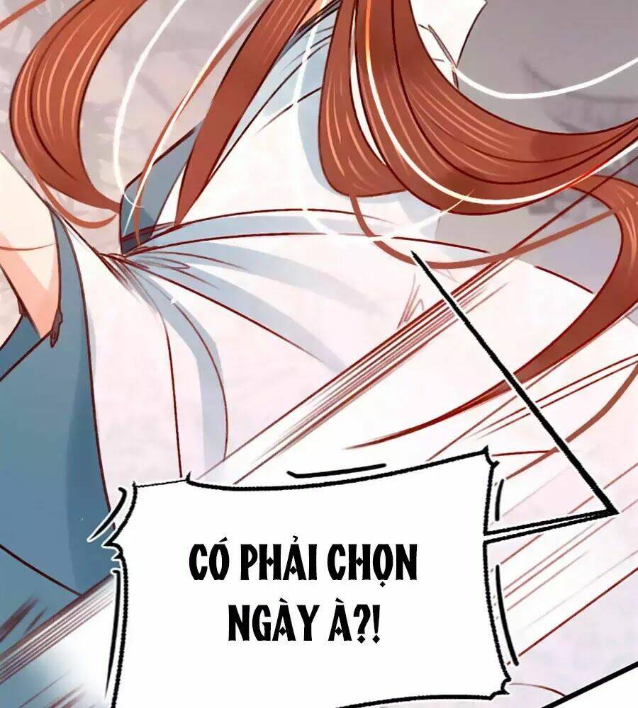 phượng hoàn triều: vương gia yêu nghiệt xin tránh đường chapter 28 30