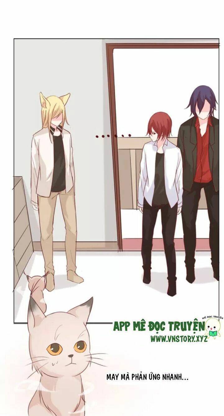 hồ tiên này không tin được chapter 22 15