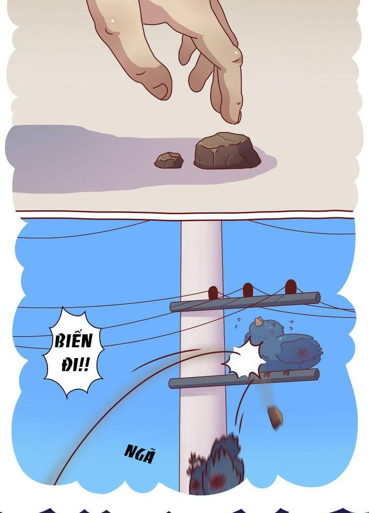 cây nấm kì khả chapter 17 10