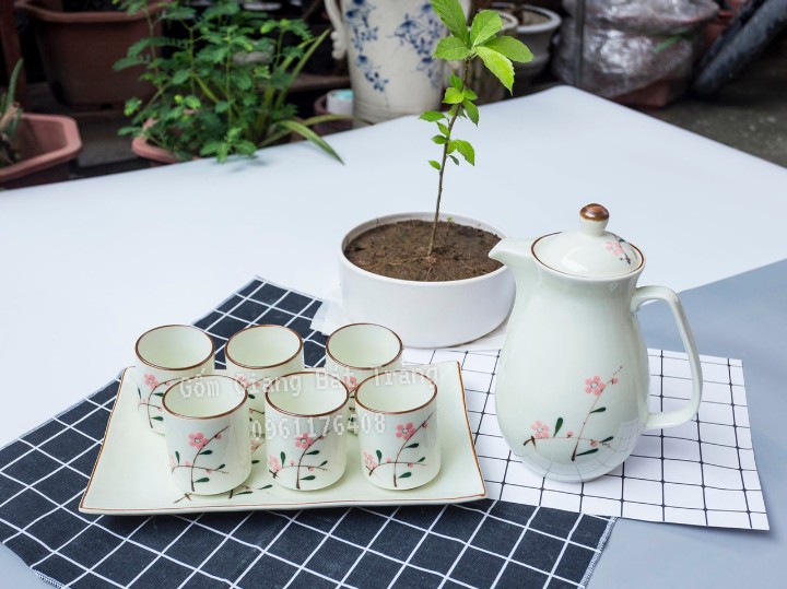 Bộ bình nước hoạ tiết sứ Bát Tràng