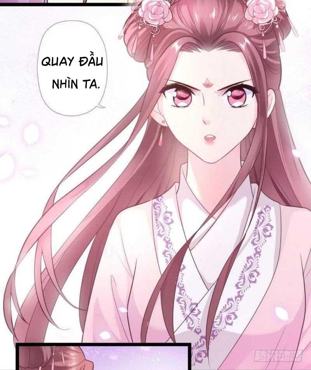 vương phi - âm động thiên hạ chapter 24 12