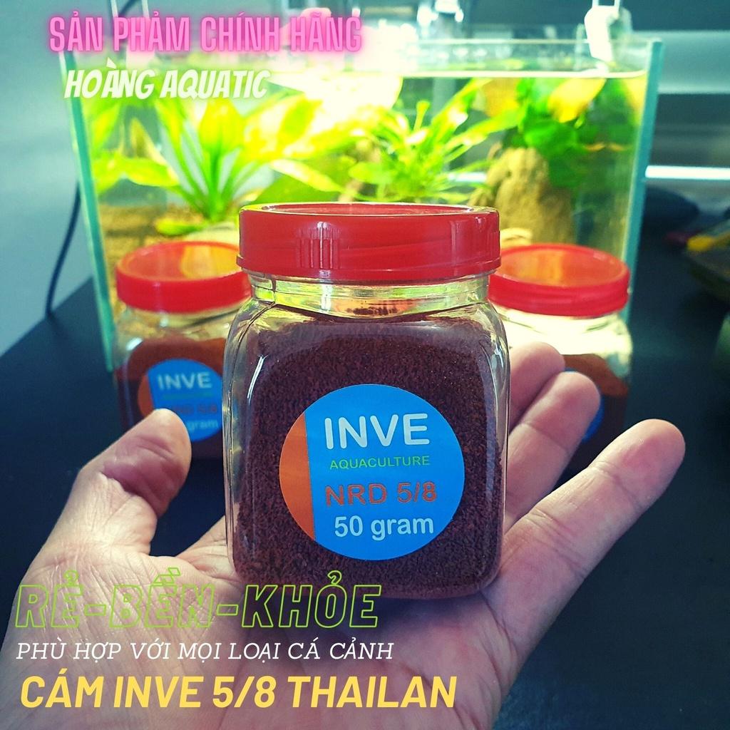 THỨC ĂN CÁ CÁM THÁI INVE CAO CẤP Cho Cá Beta, Guppy, Vàng,...
