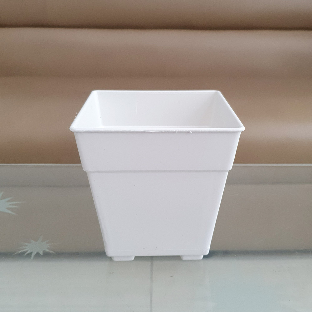 Combo 10 chậu hoa nhựa vuông nhỏ trắng 12x12cm