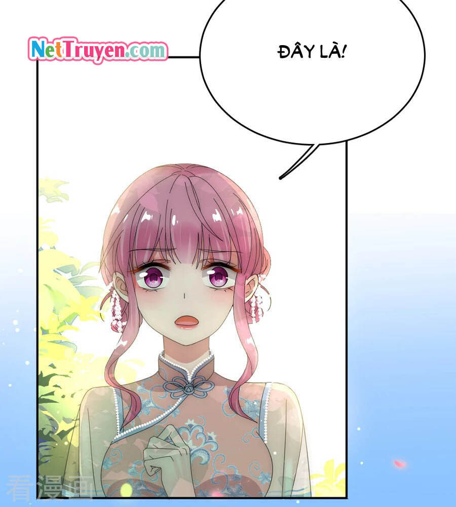 hoàn mỹ lão công tiến hóa luân chapter 77.5 17