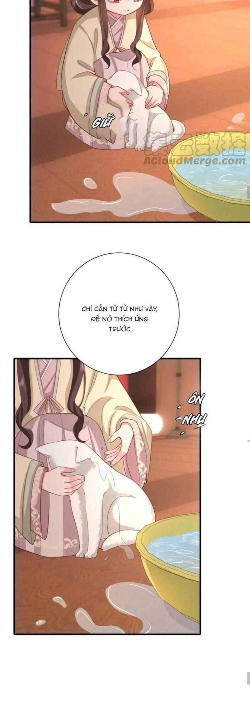 phương thức sinh tồn của công chúa pháo hôi chapter 130 16