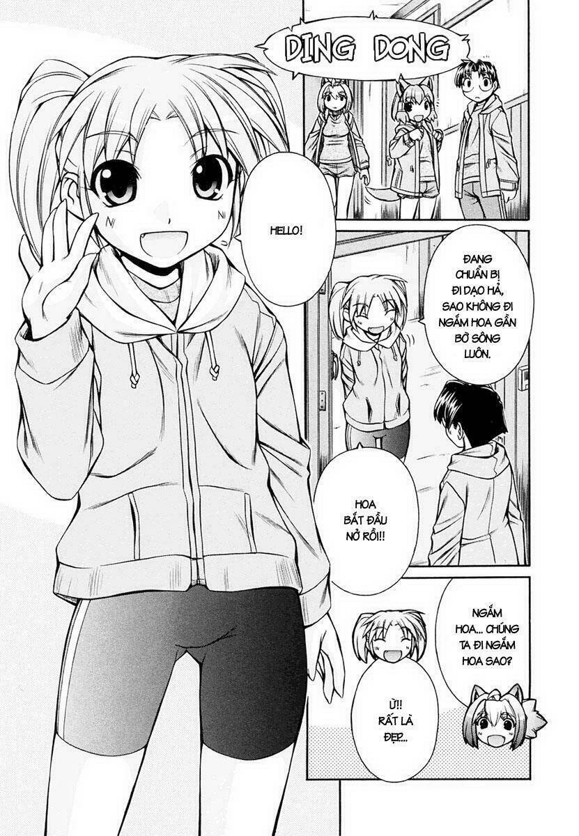 inumimi chapter 17 19