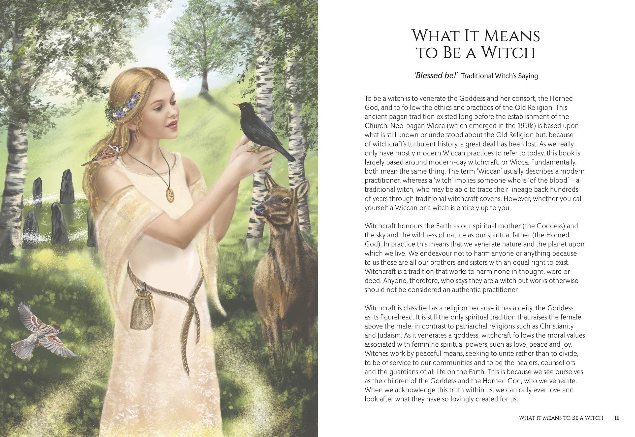 Sách - The Way of the Witch : A path to spirituality and self-empowerment by Sally Morningstar