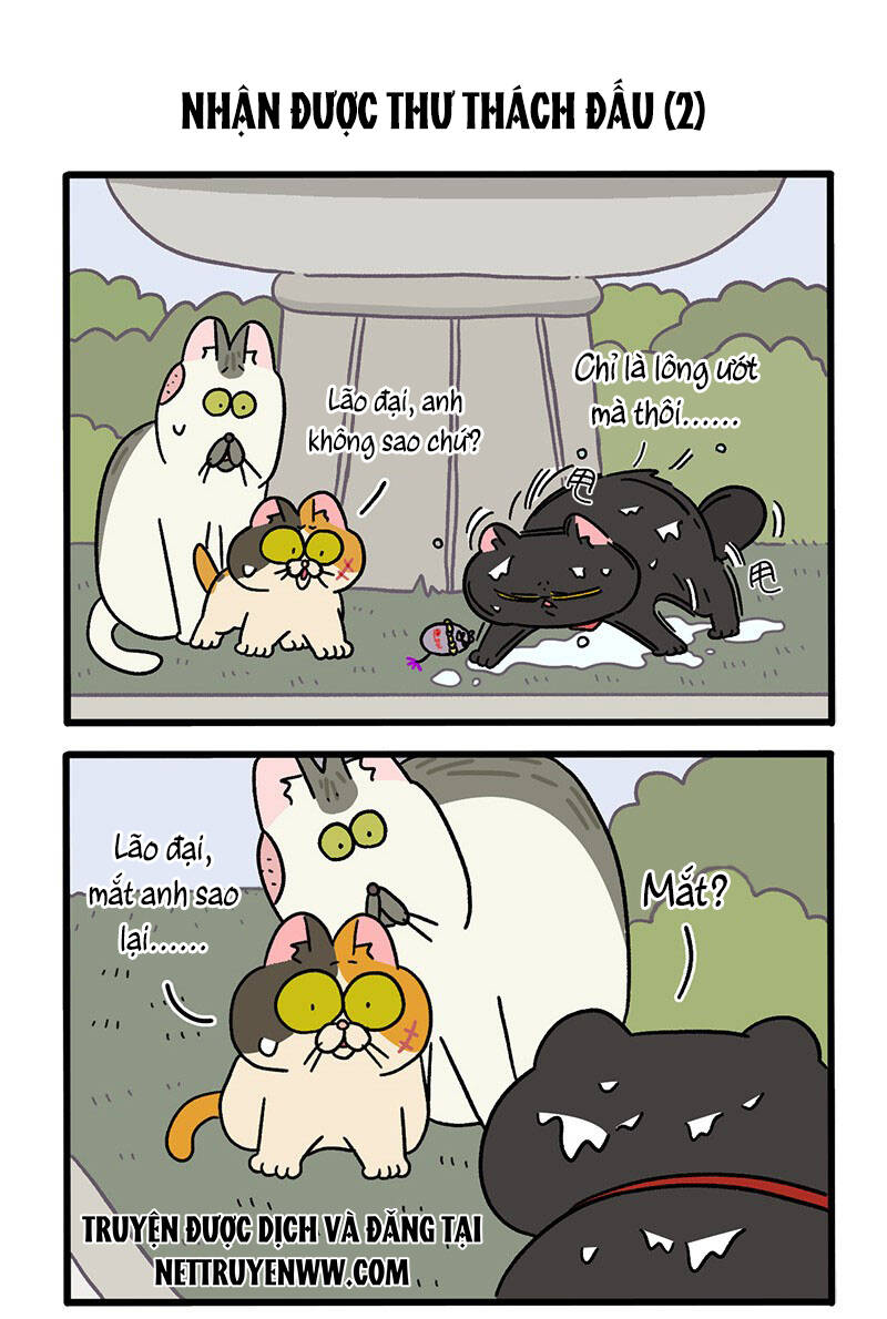 a mãn và mạch trà chapter 41 3