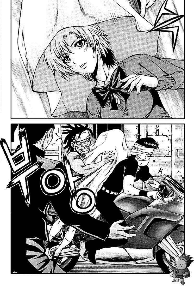 zippy ziggy chapter 12 8