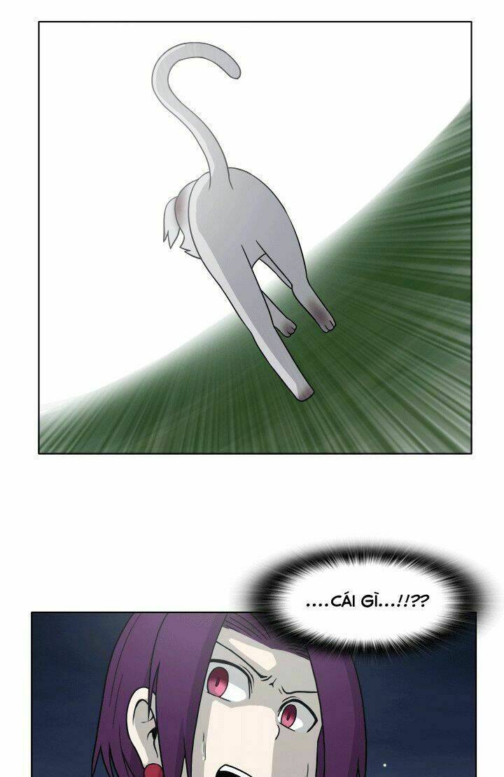 m. m. g. chapter 12 15