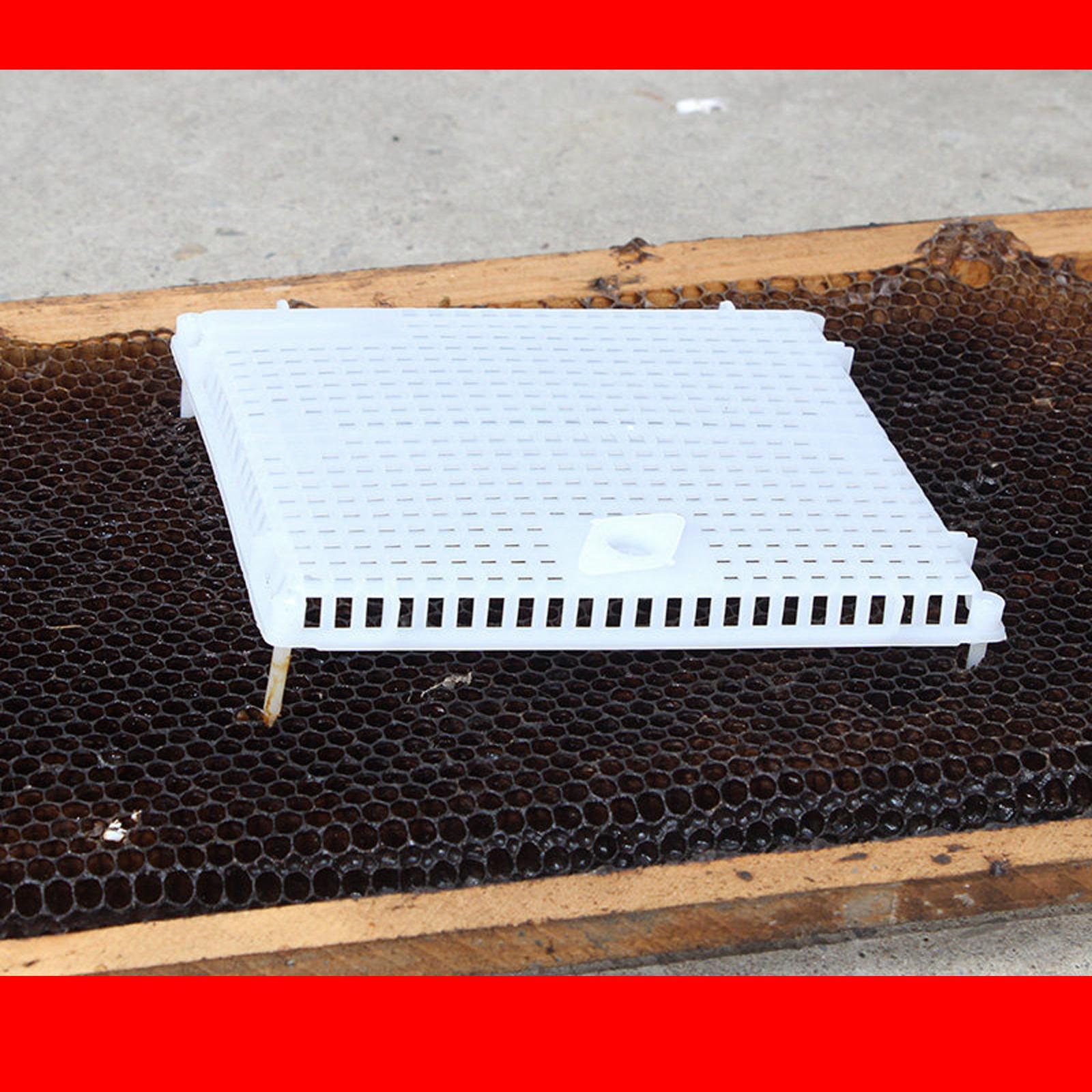 Queen Bee Isolator Introducing Cage Plastic Equipment Reusable Beekeeping