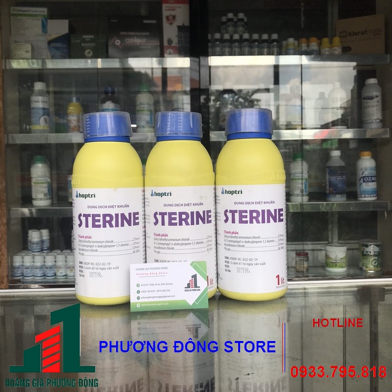 Dung dịch diệt khuẩn STERINE - 500ML