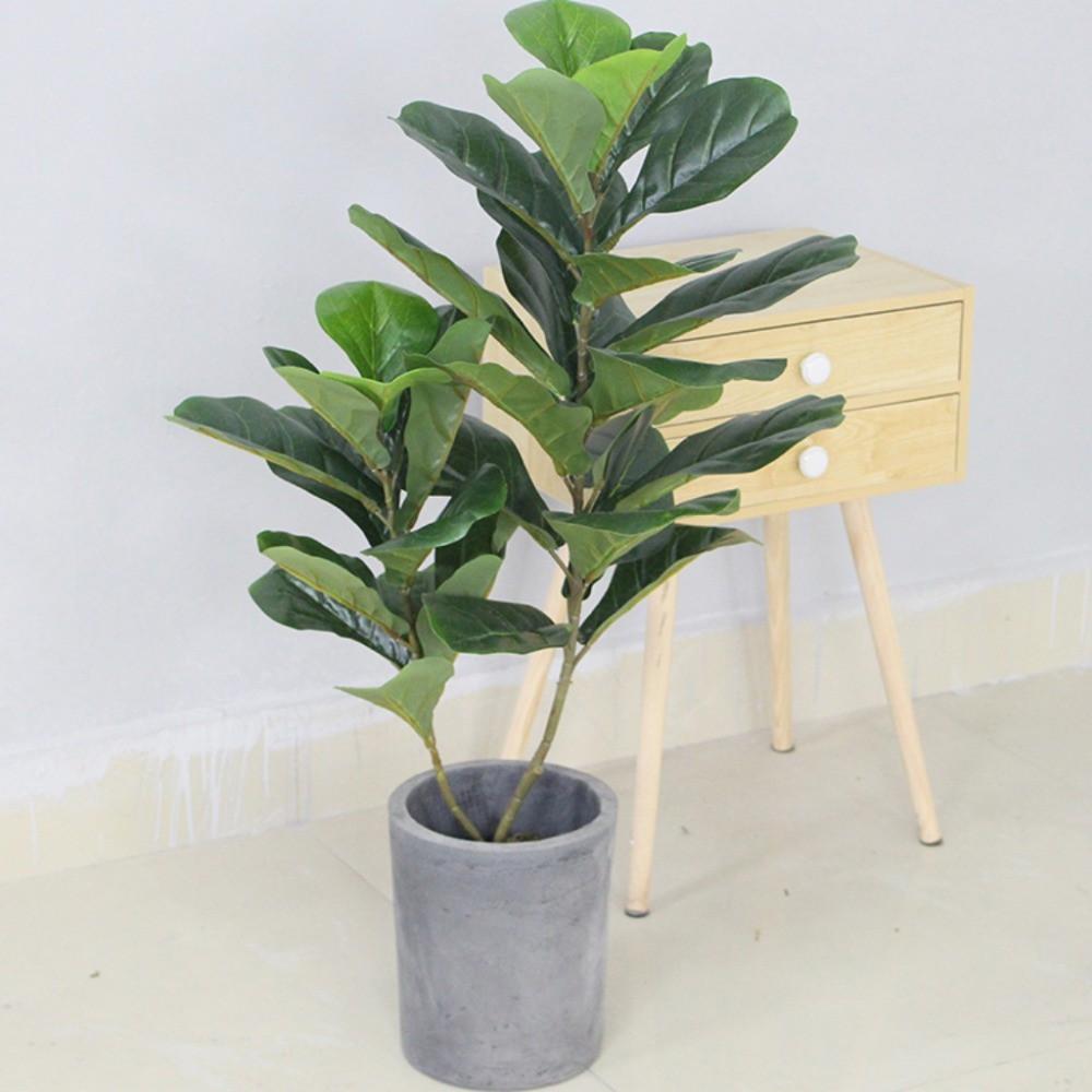 Cây giả - Cây bàng singapore 2 nhánh trang trí cao 90cm - LC2924