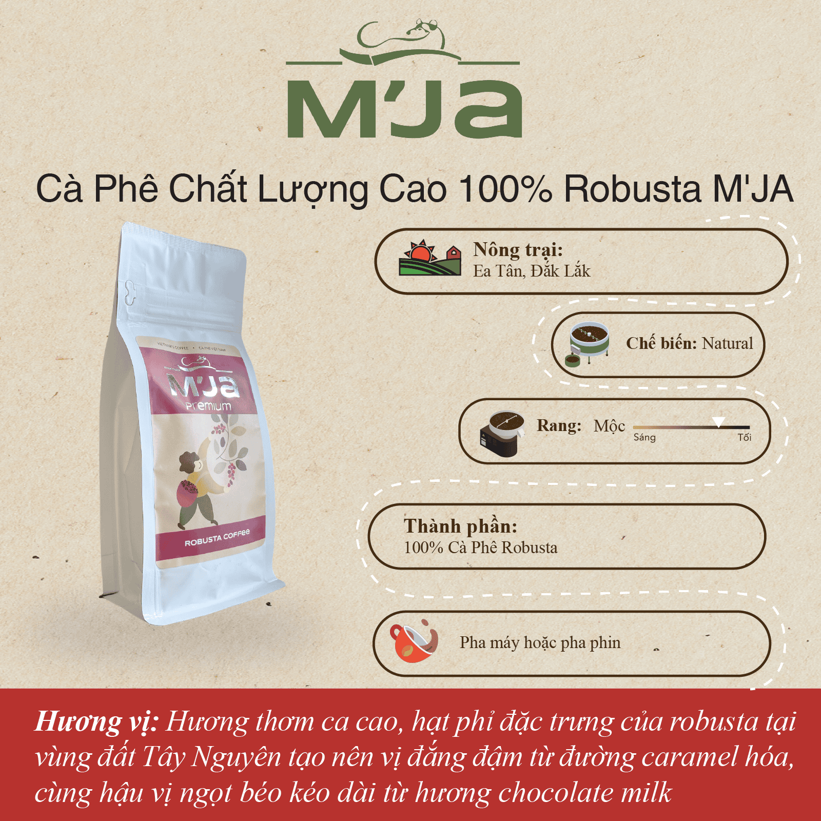 Cà Phê Chất Lượng Cao 100% Robusta M'JA - Hương Thơm Ca Cao, Hạt Phỉ, Vị Đắng Đậm - Túi Zip 250g