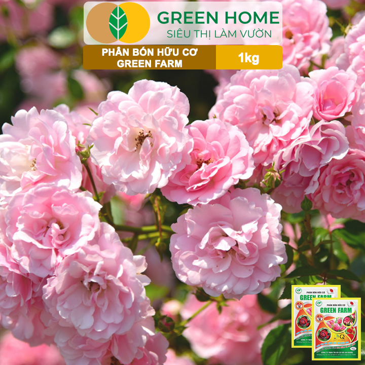 Phân Bón Hữu Cơ Green Farm, GreenHome, Gói 1kg, Chuyên Dùng Cho Cây Cảnh, Hoa Hồng